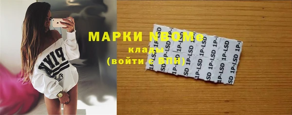 сатива Алзамай