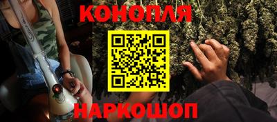 стаф Гатчина