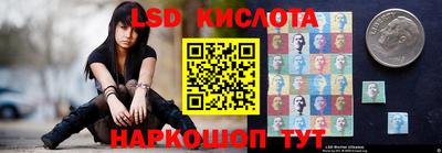 стаф Гатчина