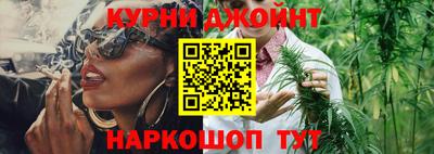 стаф Гатчина