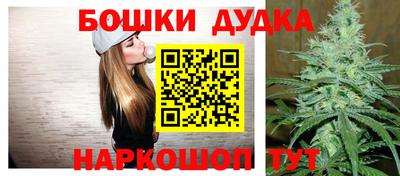 стаф Гатчина