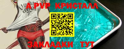 стаф Гатчина