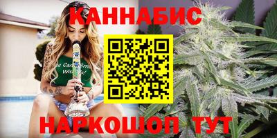 стаф Гатчина
