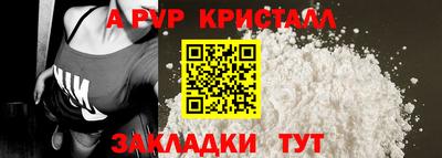 стаф Гатчина