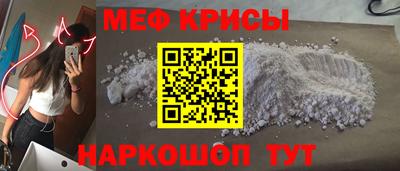стаф Гатчина
