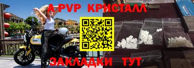стаф Гатчина