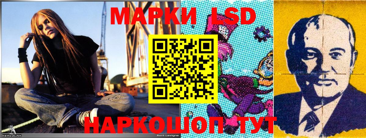 Марки NBOMe 1,8мг  наркошоп  Елизово  Вход с VPN  Марки NBOMe 1,8мг  Наркотические марки 