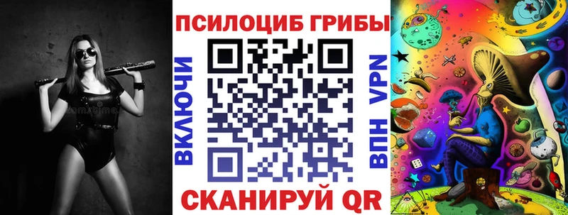 Галлюциногенные грибы Psilocybe  Елизово 