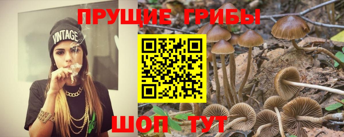 Псилоцибиновые грибы MAGIC MUSHROOMS  Вход с VPN  Елизово  Галлюциногенные грибы GOLDEN TEACHER 