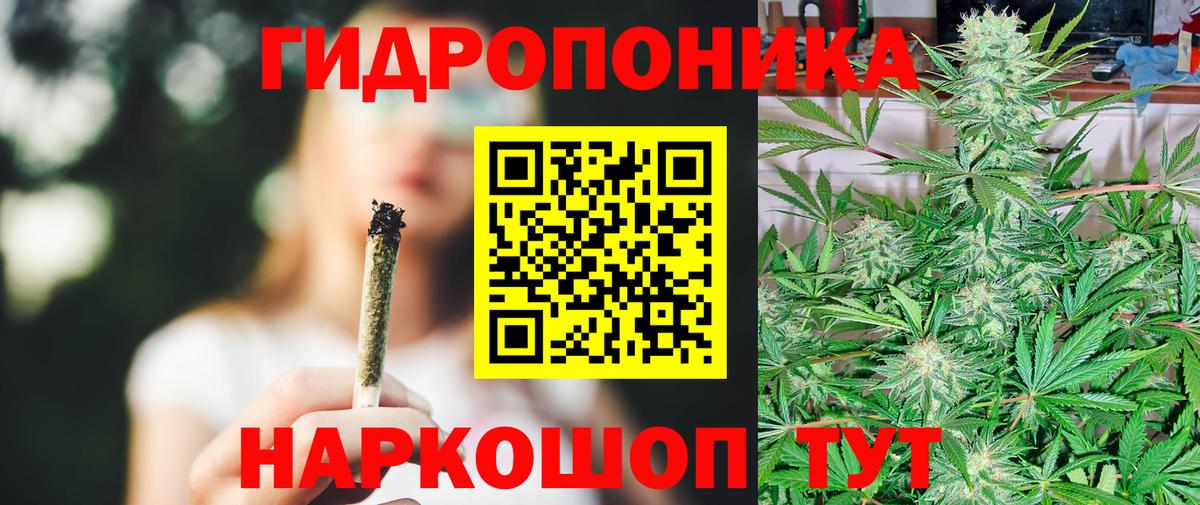 Марихуана индика  МАРИХУАНА THC 21%  Вход с VPN  Елизово  Канабис марихуана 